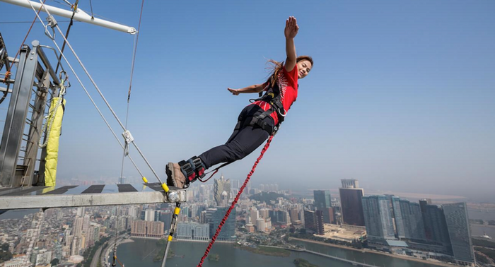 bungee jumping royal albatross