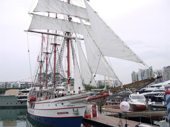 royal albatross on dock