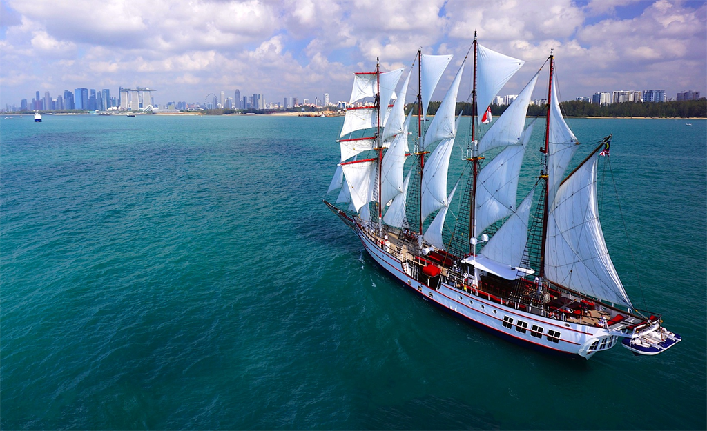 royal albatross sailing on blue water with singapore skyline view