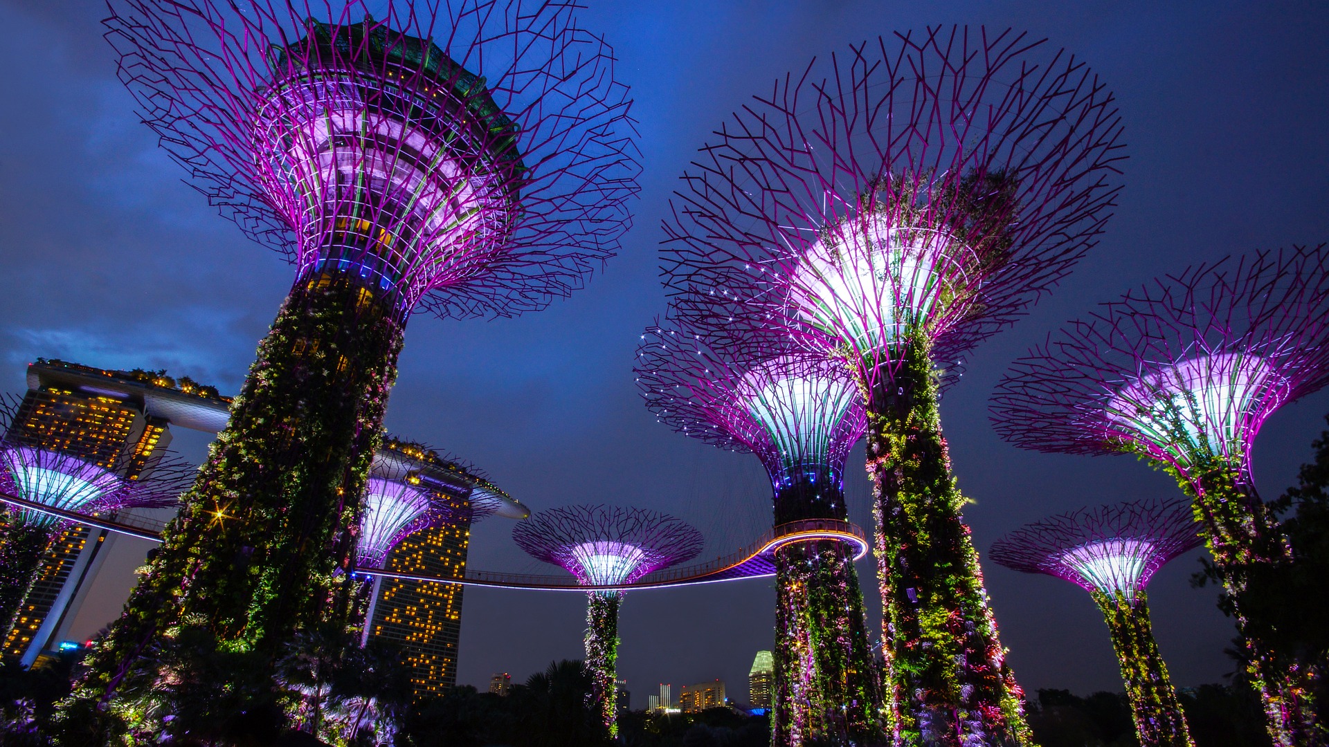 Gardens By The Bay