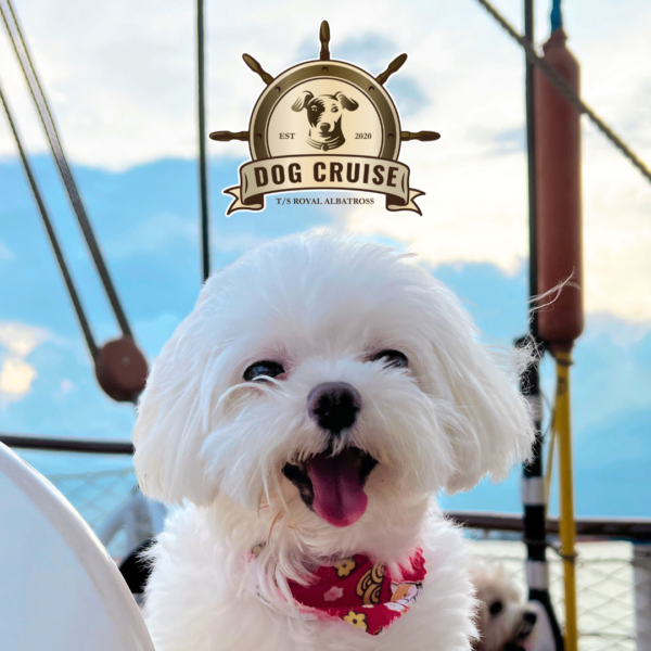 Pet Cruise - Dog Cruise