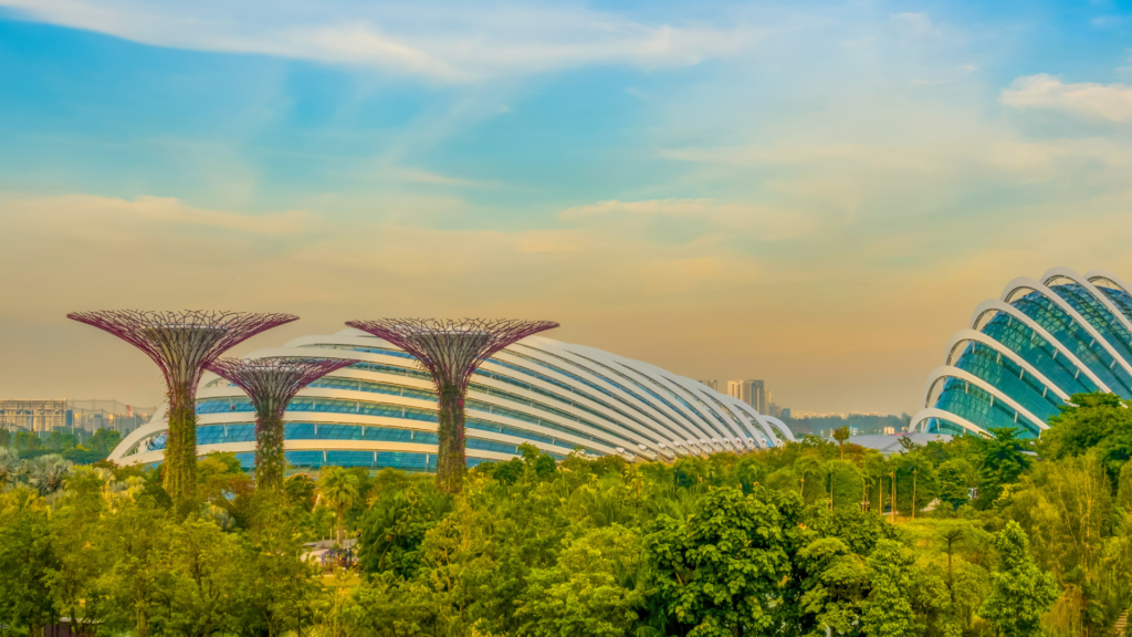 Place to Go in Singapore - Gardens by the Bay