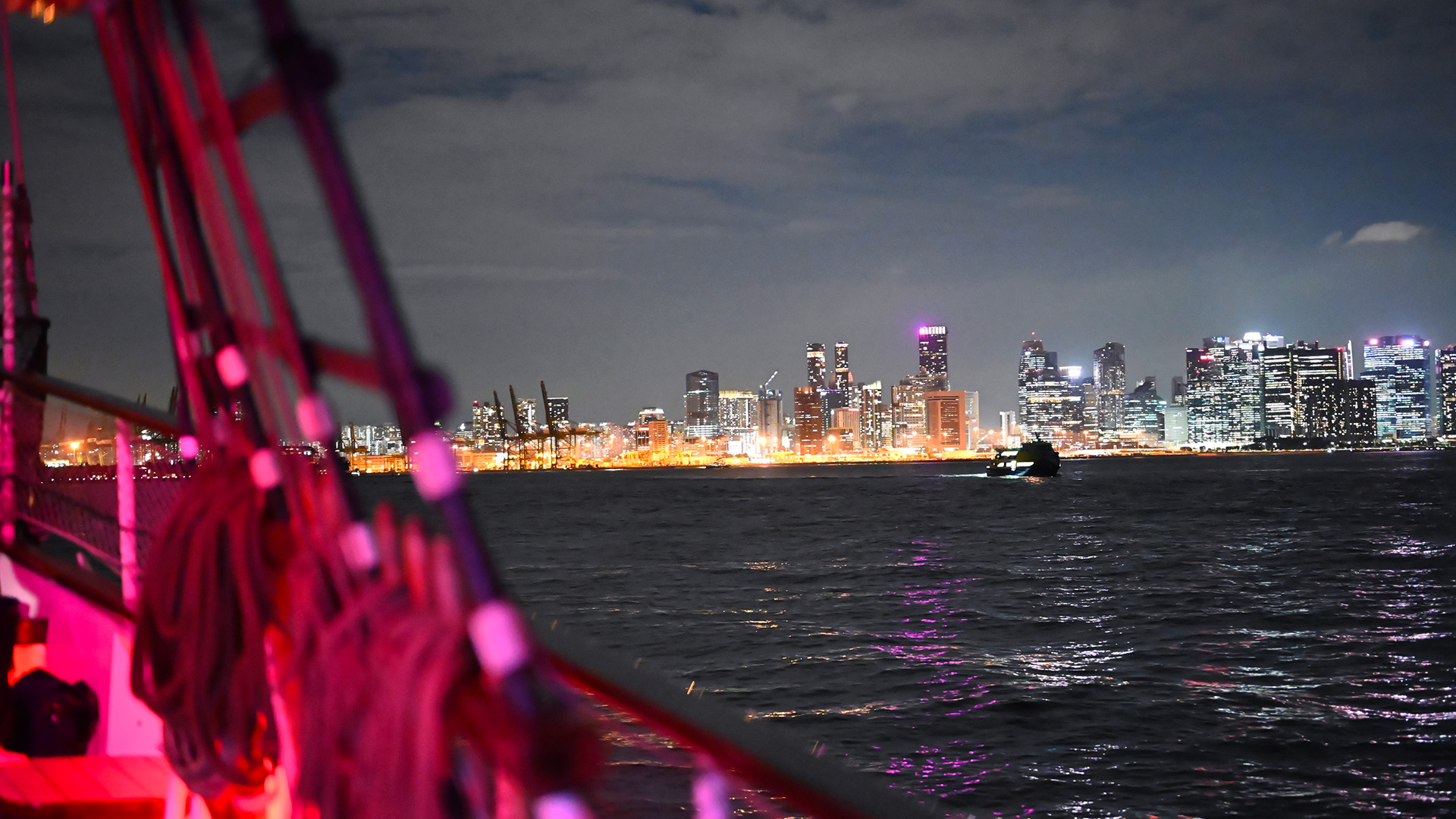 Why Royal Albatross is the Perfect Venue for an Anniversary Dinner_4