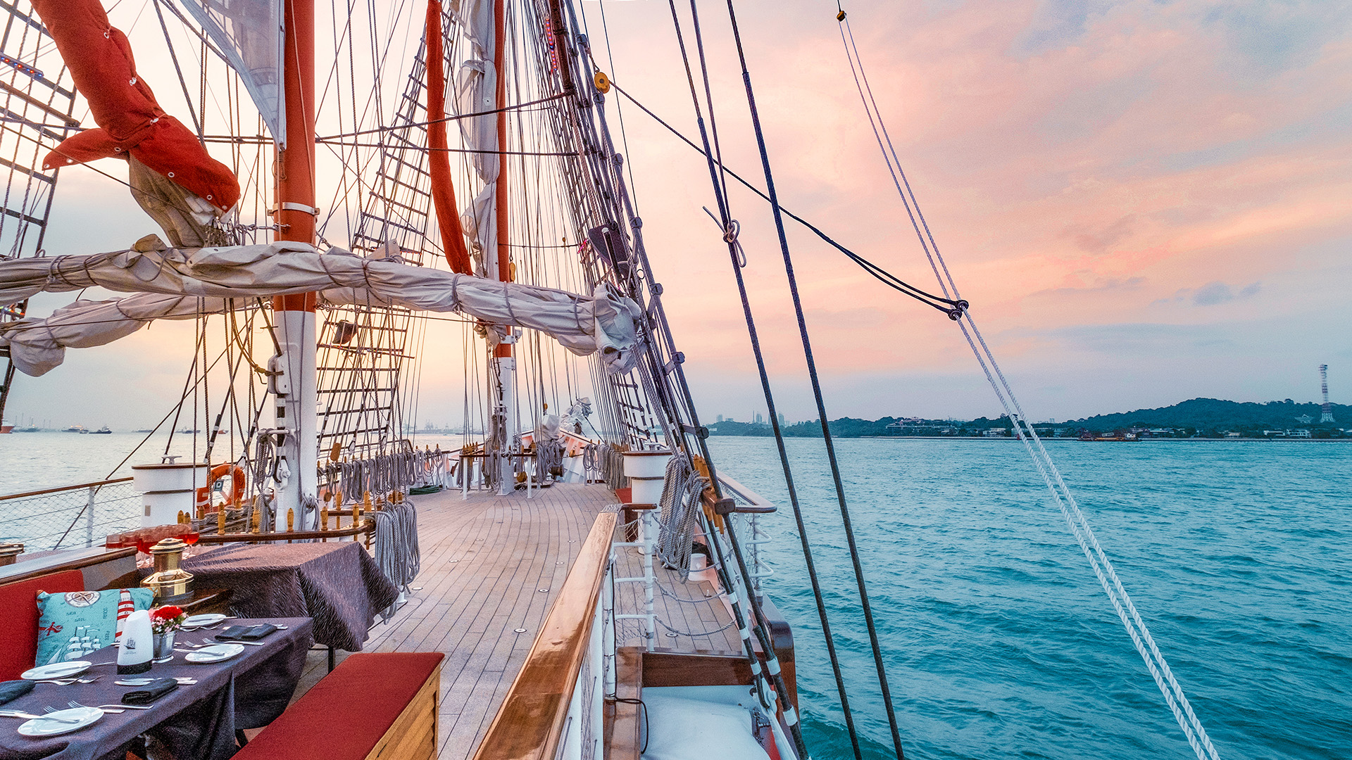 Royal Albatross SG60 Deals: Experience a Unique Sunset Cruise_3