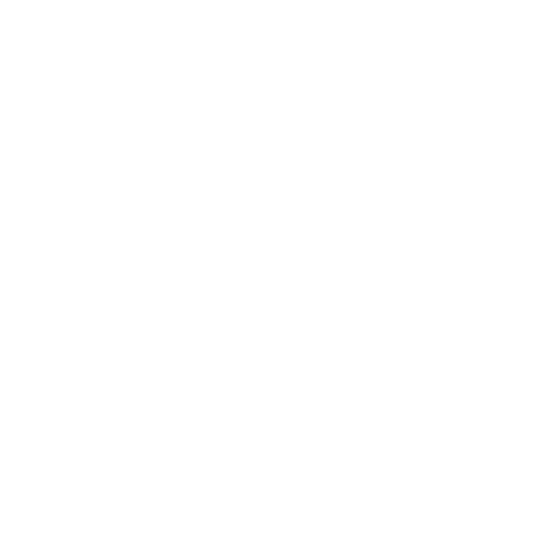 Albatross Speedboat Adventures