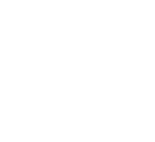Royal Albatross